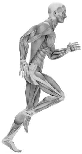 Capital Interventional Pain and Spine Center